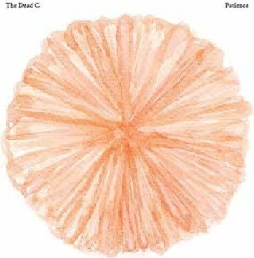 Dead C. Patience LP/Vinyl