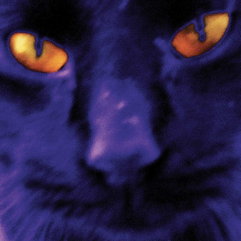 David Kilgour And The Heavy Eights, David Kilgour Bobbie's A Girl LP/Vinyl