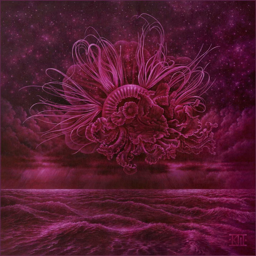 In Mourning Garden Of Storms LP/Vinyl