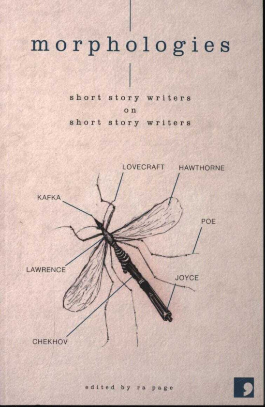 Morphologies Short Story Writers on Short Story Writers