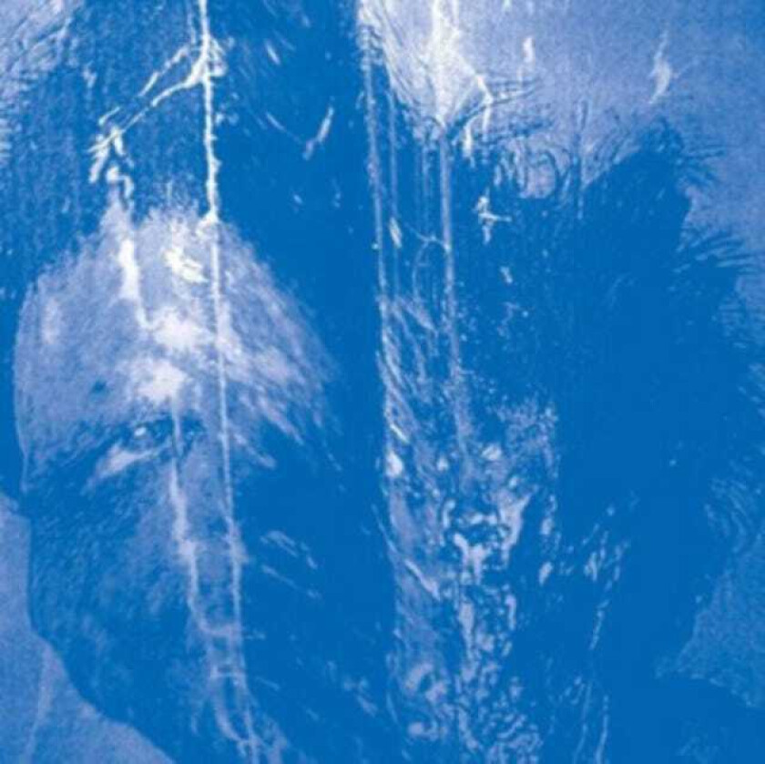 Secret Boyfriend This Is Always Where You've Lived LP/Vinyl