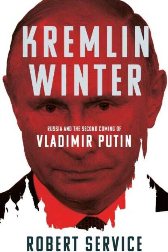 Kremlin Winter