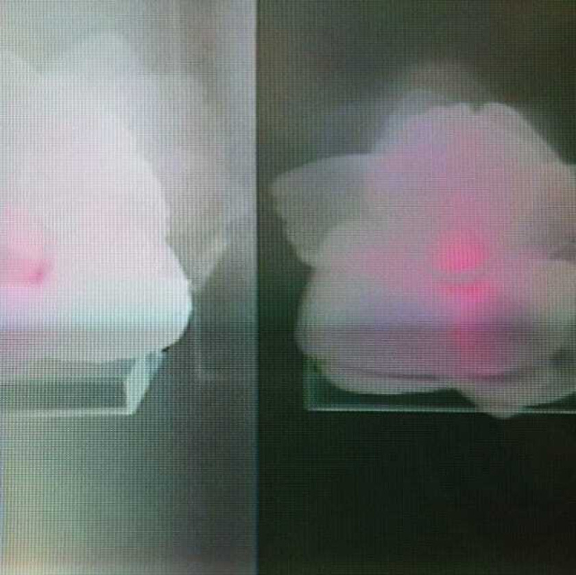 Tommy Vicari Jnr Kept In LP/Vinyl