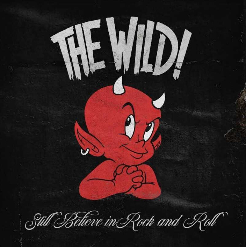 Wild Still Believe In Rock And Roll CD