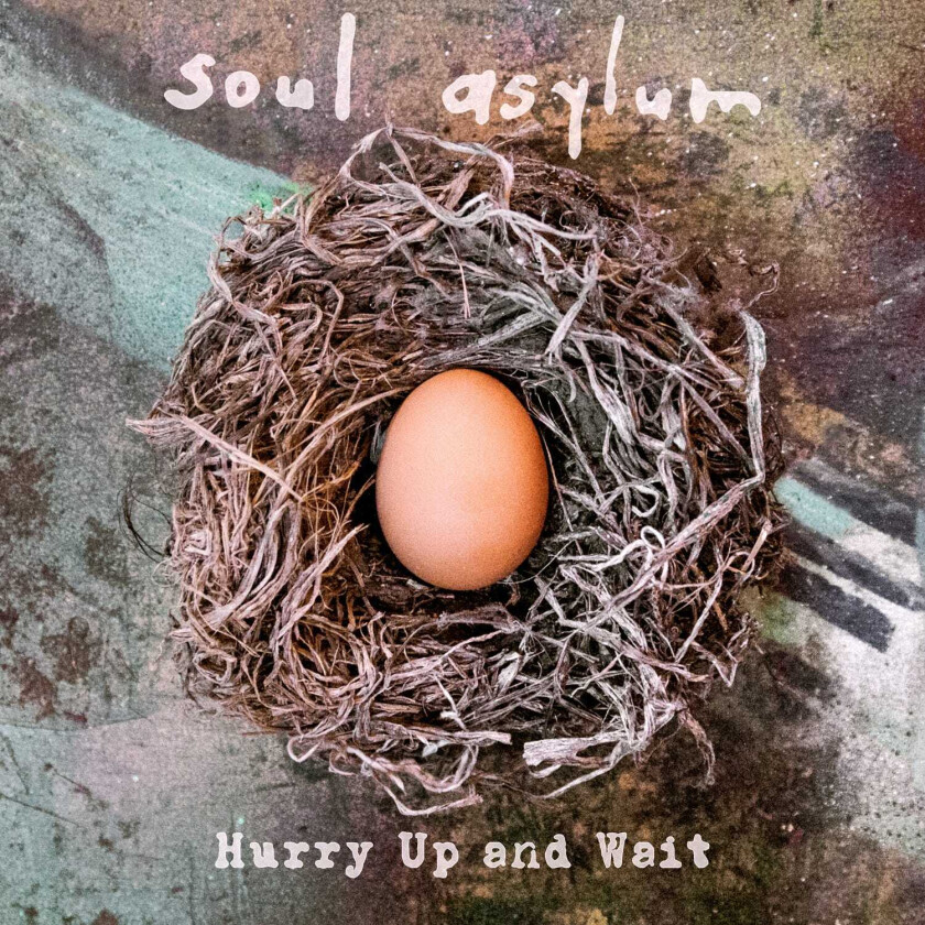 Soul Asylum Hurry Up And Wait LP/Vinyl
