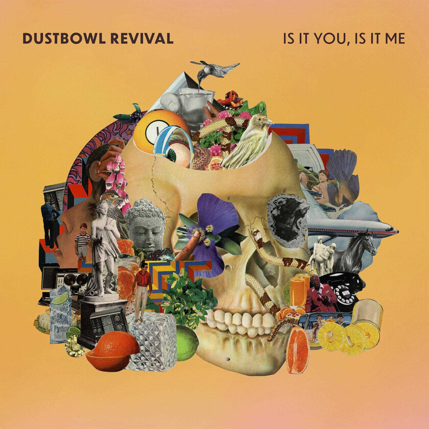 The Dustbowl Revival Is It You, Is It Me LP/Vinyl