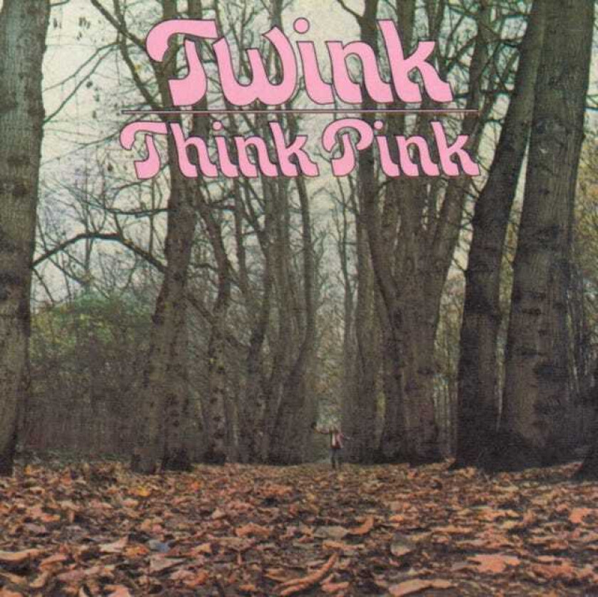 Twink Think Pink LP/Vinyl
