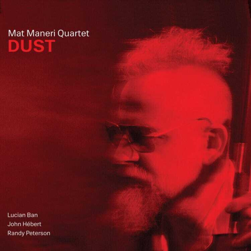 Mat Maneri Dust CD