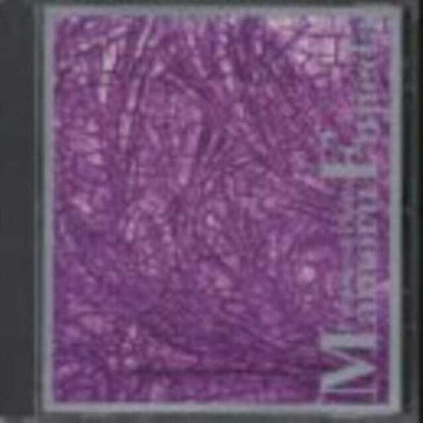 Diverse Jazz Fujieda: Patterns Of Plants CD