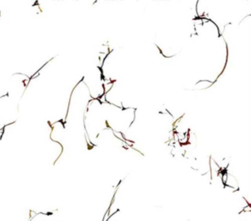 Diverse Jazz, Diverse Artister Winged Serpents Encomiums For Cecil Taylor CD