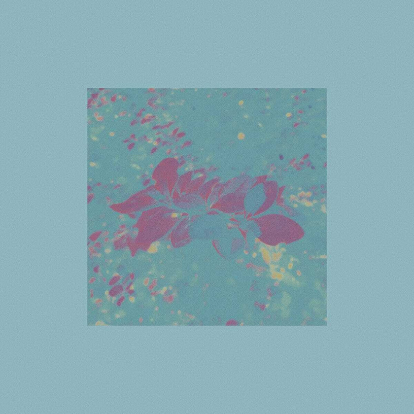 Hollie Kenniff Gathering Dawn CD