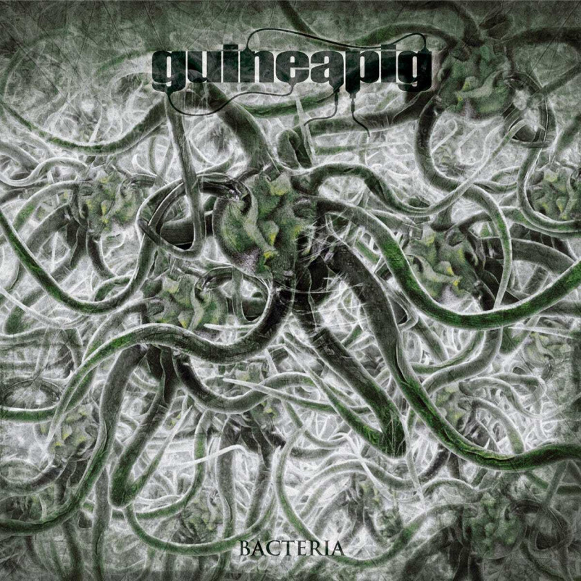Guineapig Bacteria LP/Vinyl