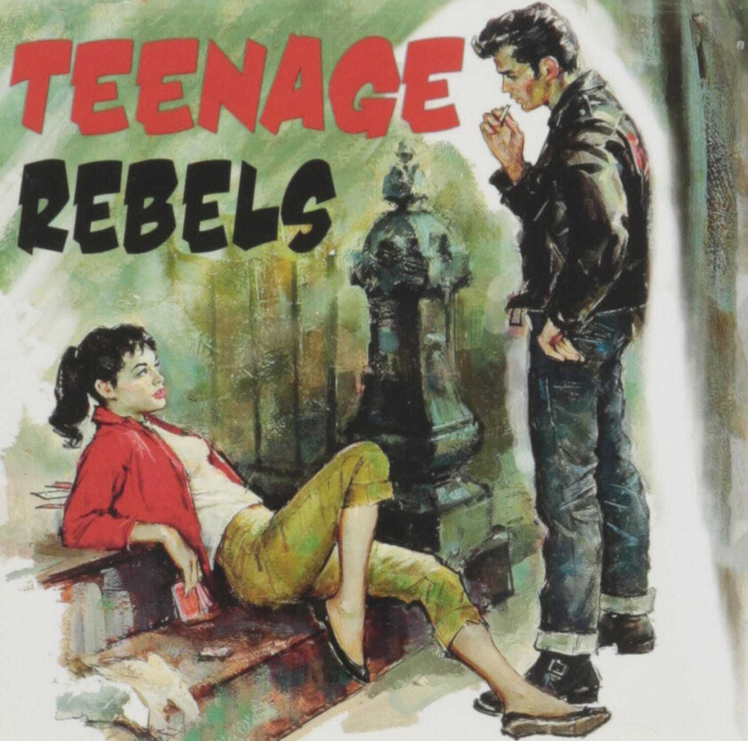 Diverse Artister  Teenage Rebels  CD