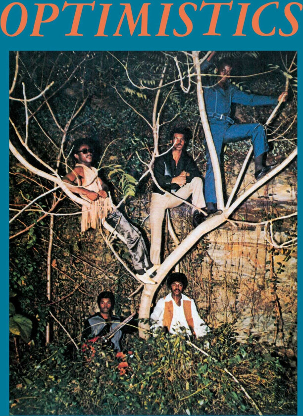 Optimistics Optimistics LP/Vinyl