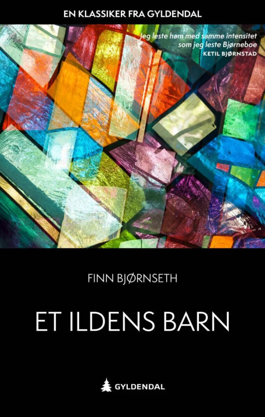 Et ildens barn av Finn Bjørnseth