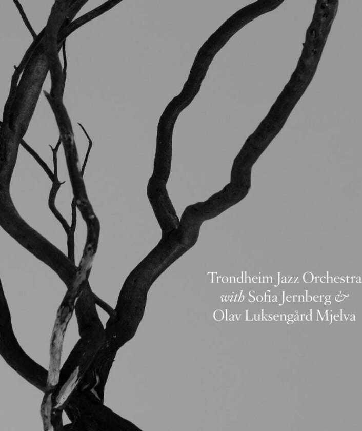 Trondheim Jazzorkester With Sofia Järnberg, Trondheim Jazzorkester, Sofia Järnberg Trondheim Jazz Orchestra With Sofia Järnberg & Olav Luksengård Mjelva CD