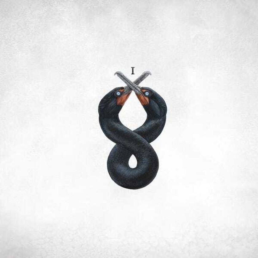 San Fermin Cormorant 1 LP/Vinyl