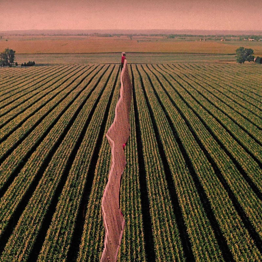 Possible Humans Everybody Split CD