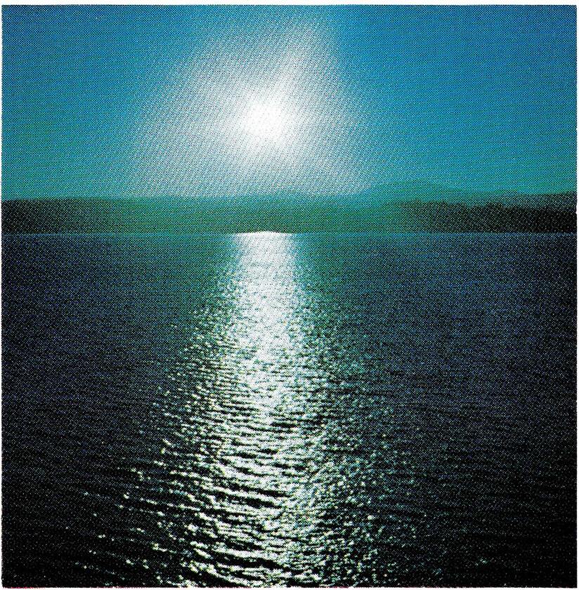 Joanna Brouk The Space Between LP/Vinyl