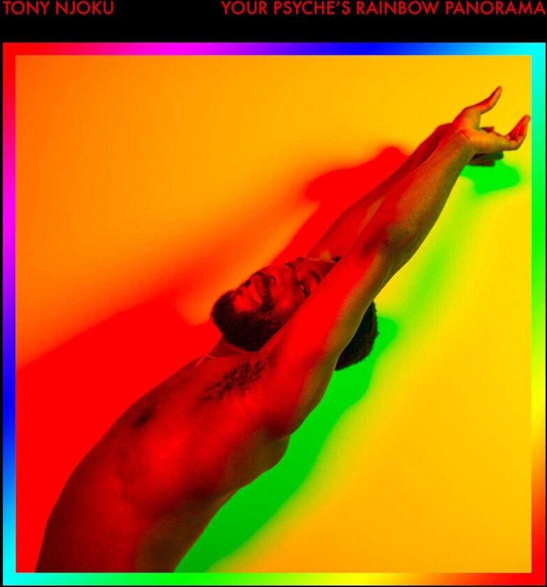Tony Njoku Your Pryche's Rainbow Panorama LP/Vinyl