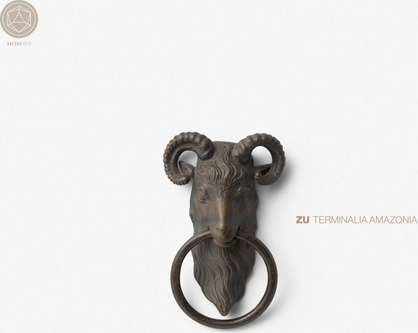 Zu Terminalia Amazonia CD