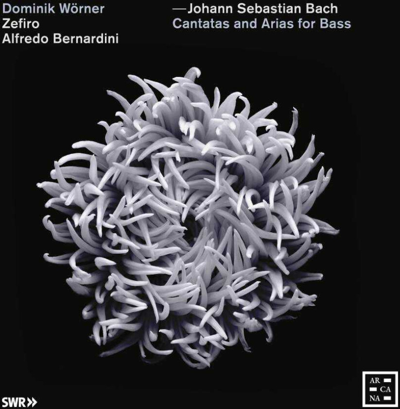 Alfredo Bernardini, Zefiro Orchestra, Dominik Wörner  Bach: Cantatas And Arias For Bass  CD