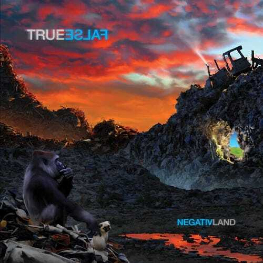 True False  CD