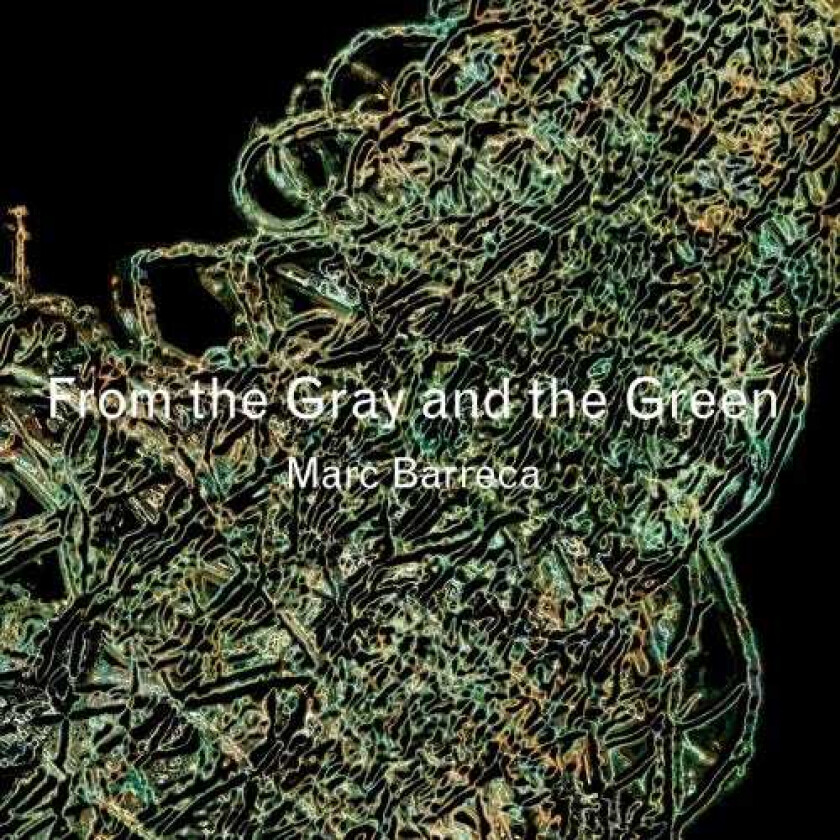 Marc Barreca  From The Gray And The Green  CD