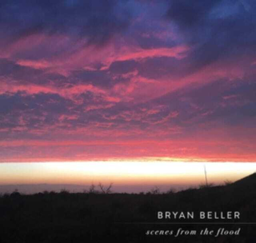 Bryan Beller Scenes From The Flood LP/Vinyl