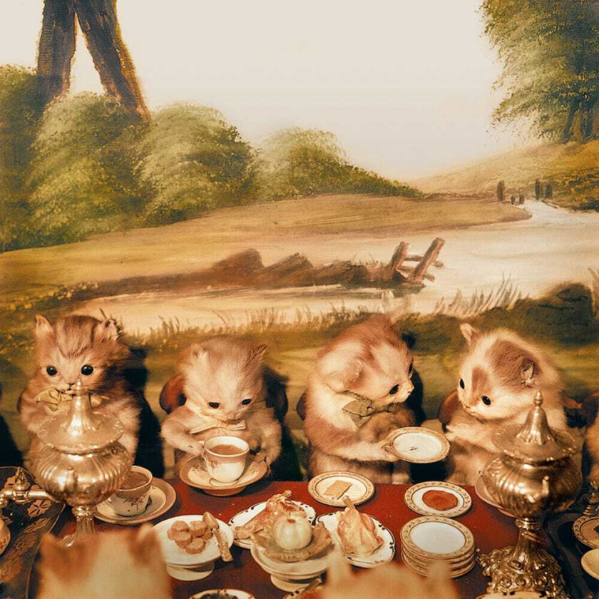 Piano Magic Low Birth Weight LP/Vinyl