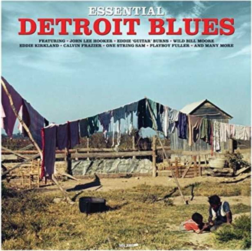 Diverse Artister  Esential Detroit Blues  LP/Vinyl