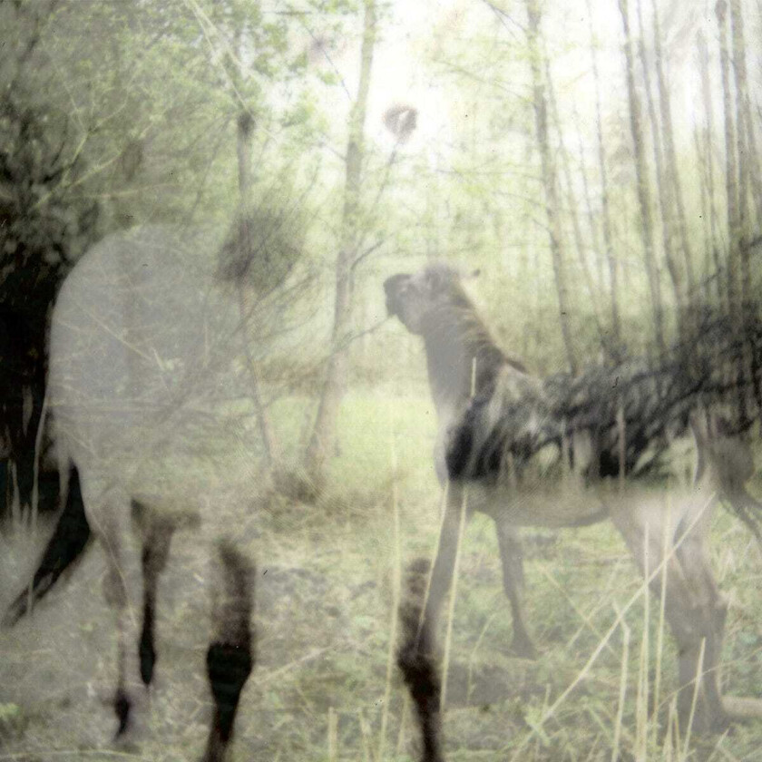 De Paepe Bart Pagus Wasiae LP/Vinyl