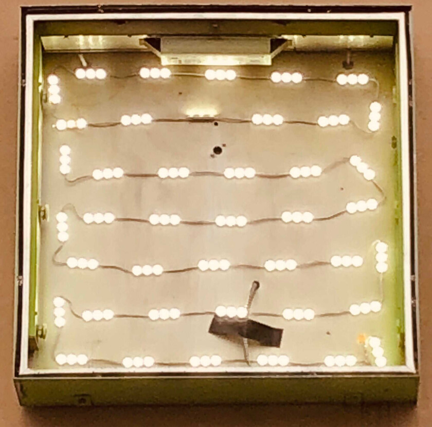 Oso Oso Basking In The Glow LP/Vinyl