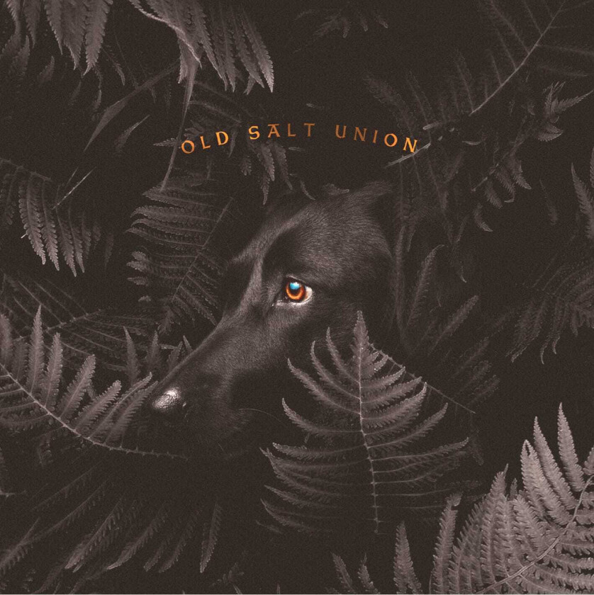 Old Salt Union  Where The Dogs Don't Bite  CD