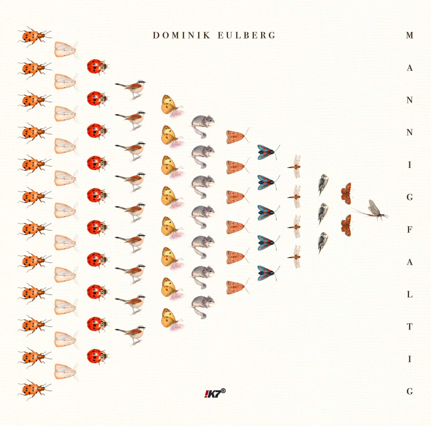 Dominik Eulberg Mannigfaltig LP/Vinyl