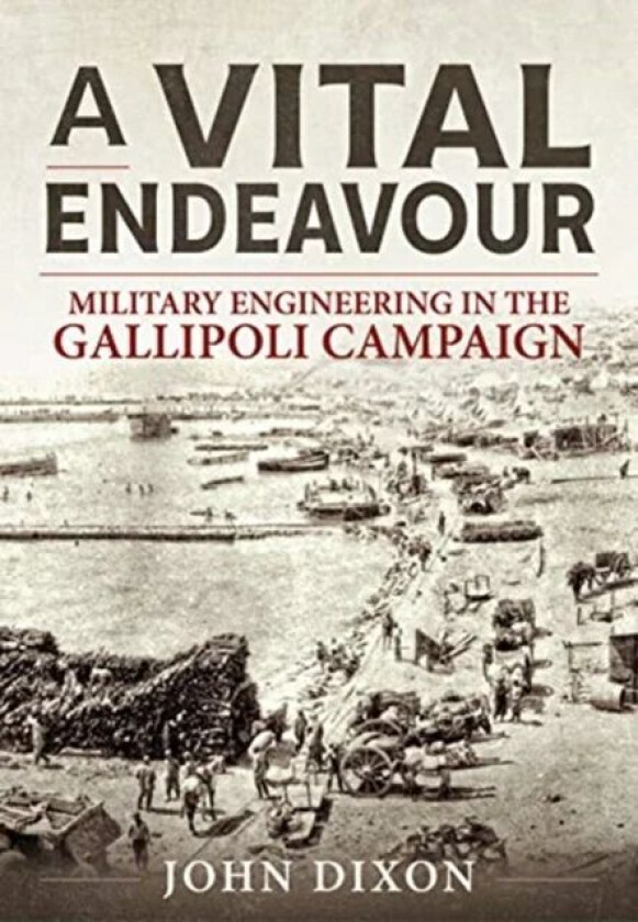 A Vital Endeavour av John Dixon