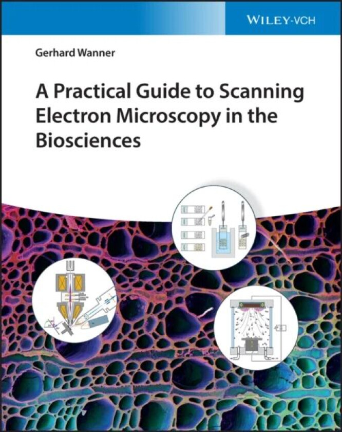 A Practical Guide to Scanning Electron Microscopy in the Biosciences av Gerhard Wanner