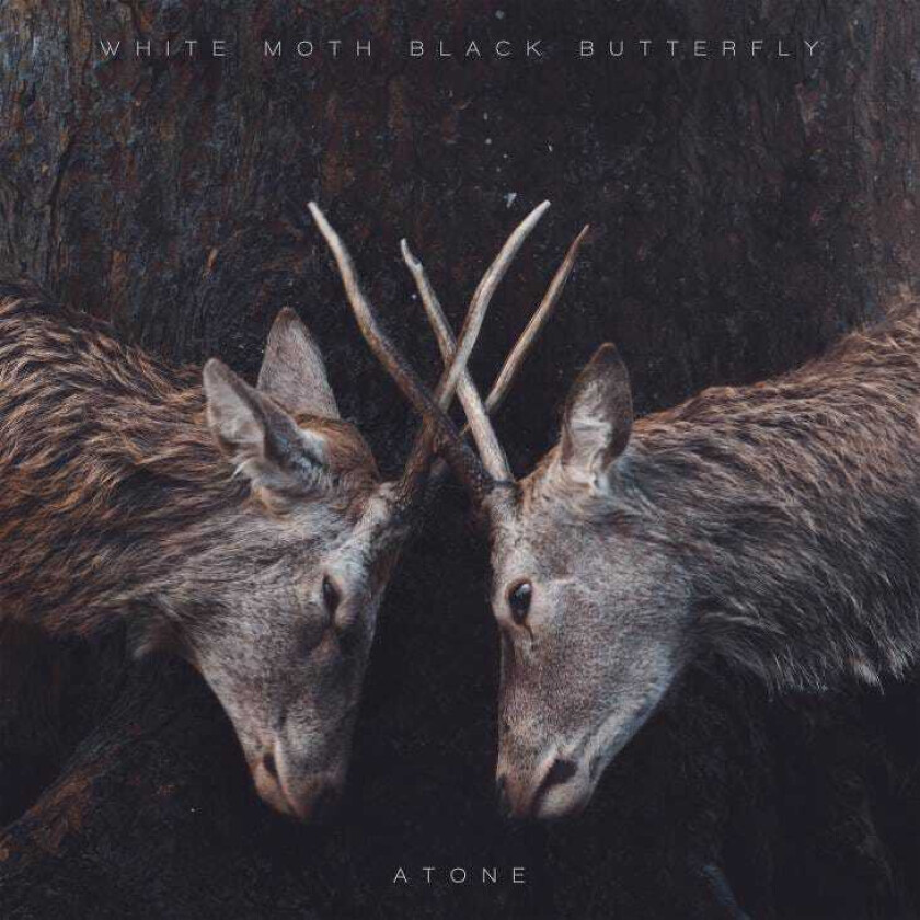 White Moth Black Butterfly Atone LP/Vinyl