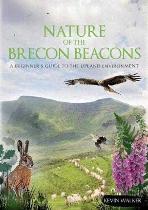 Nature of the Brecon Beacons  A Beginners Guide to the Upland Environment