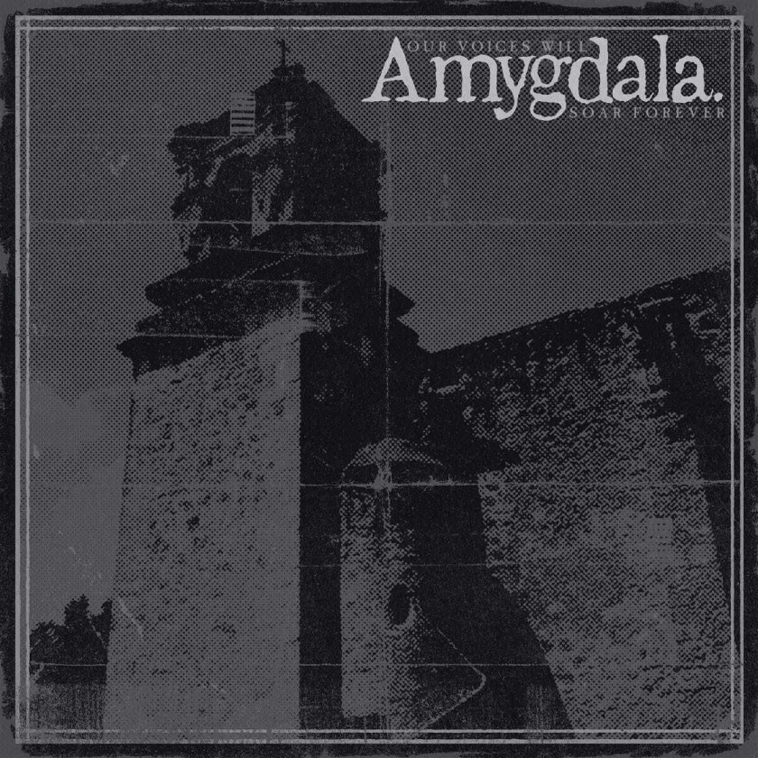 Amygdala Our Voices Will Soar Forever CD
