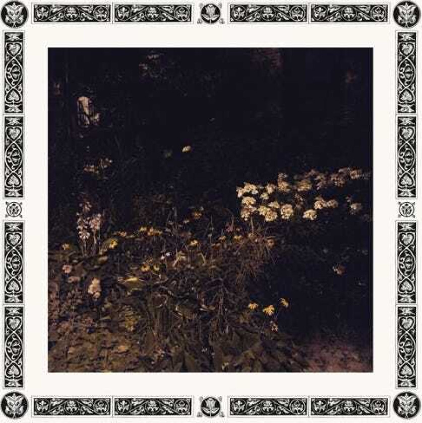 Sarah Davachi  Pale Bloom  CD