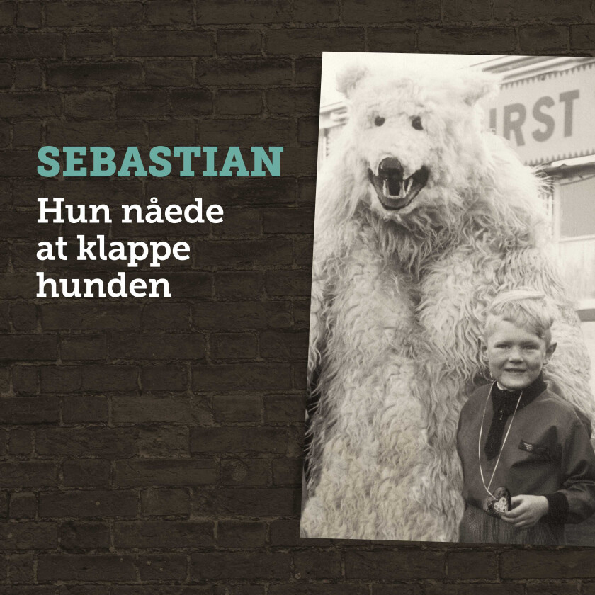 Sebastian  Hun Nåede At Klappe Hunden  CD