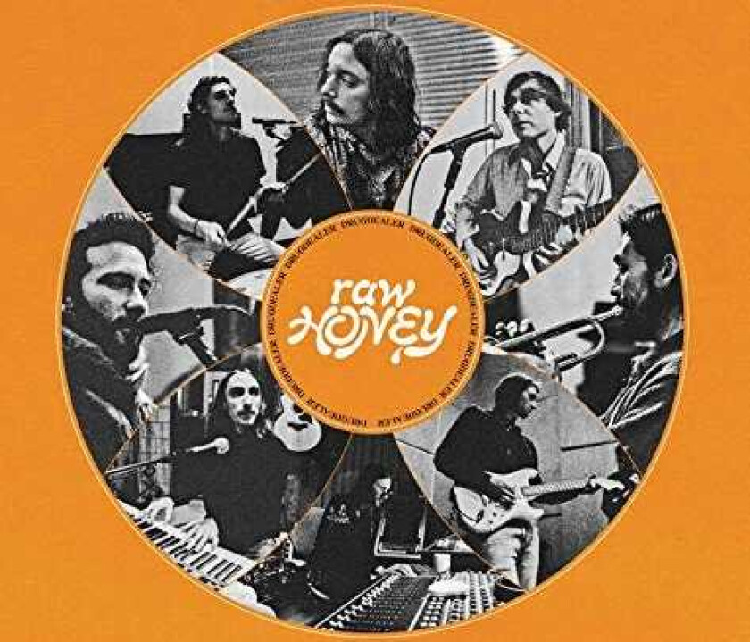 Drugdealer Raw Honey LP/Vinyl