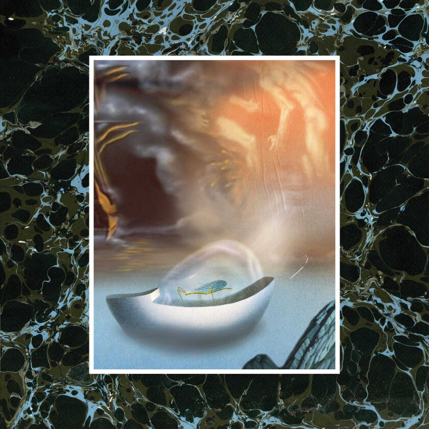 Wand Laughing Matter LP/Vinyl