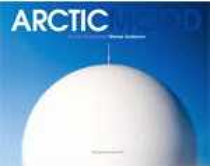 Brynjar Rasmussen Arctic Mood CD