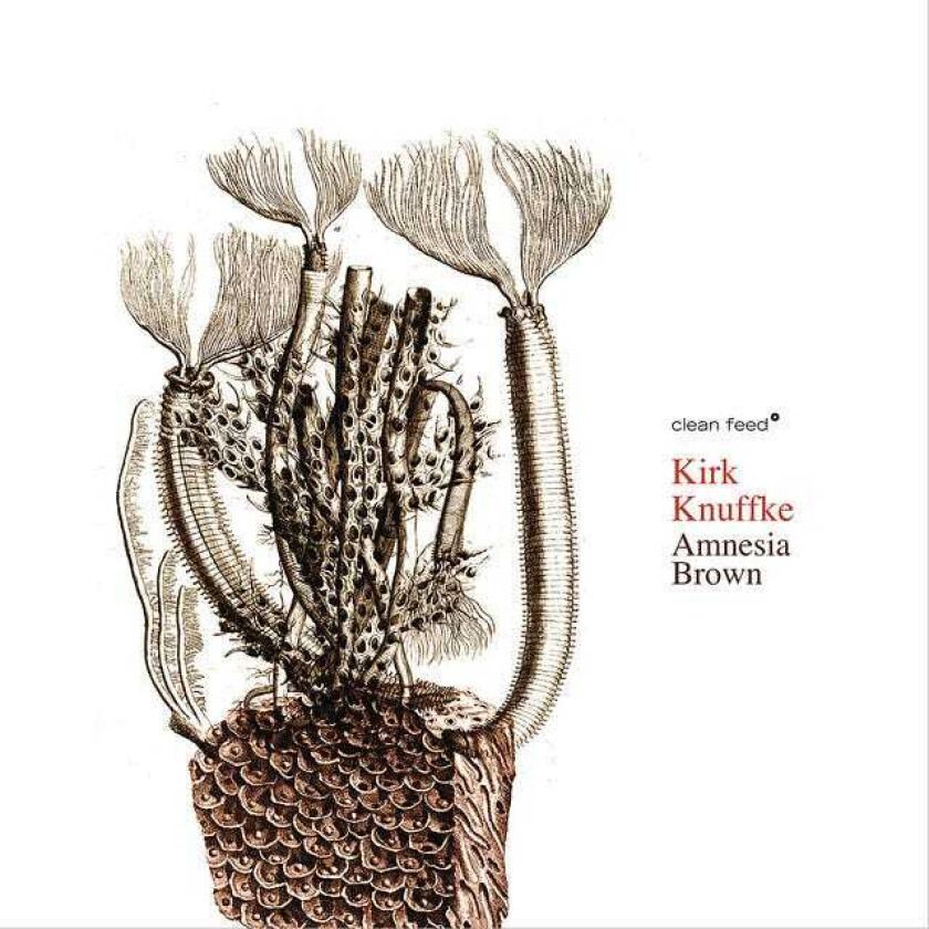 Kirk Knuffke  Amnesia Brown  CD