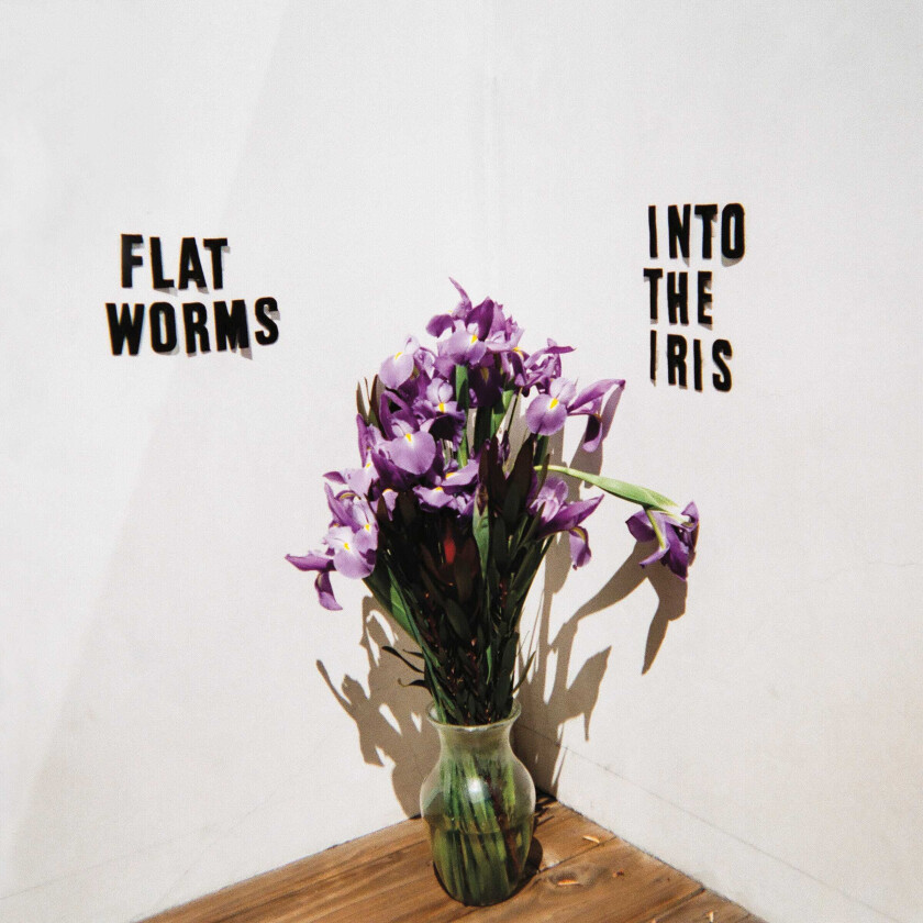 Flat Worms Into The Iris LP/Vinyl
