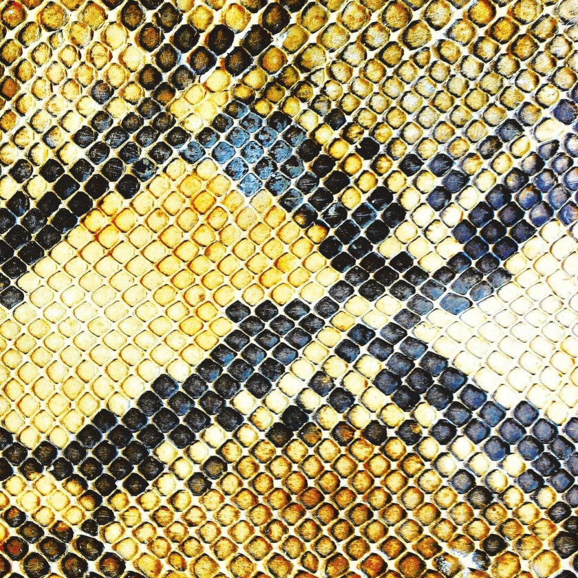 The Amazing Snakeheads Amphetamine Ballads CD