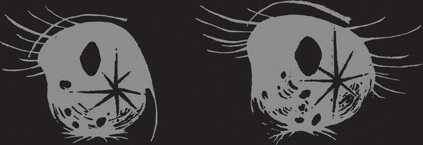 Bardo Pond Bardo Pond LP/Vinyl