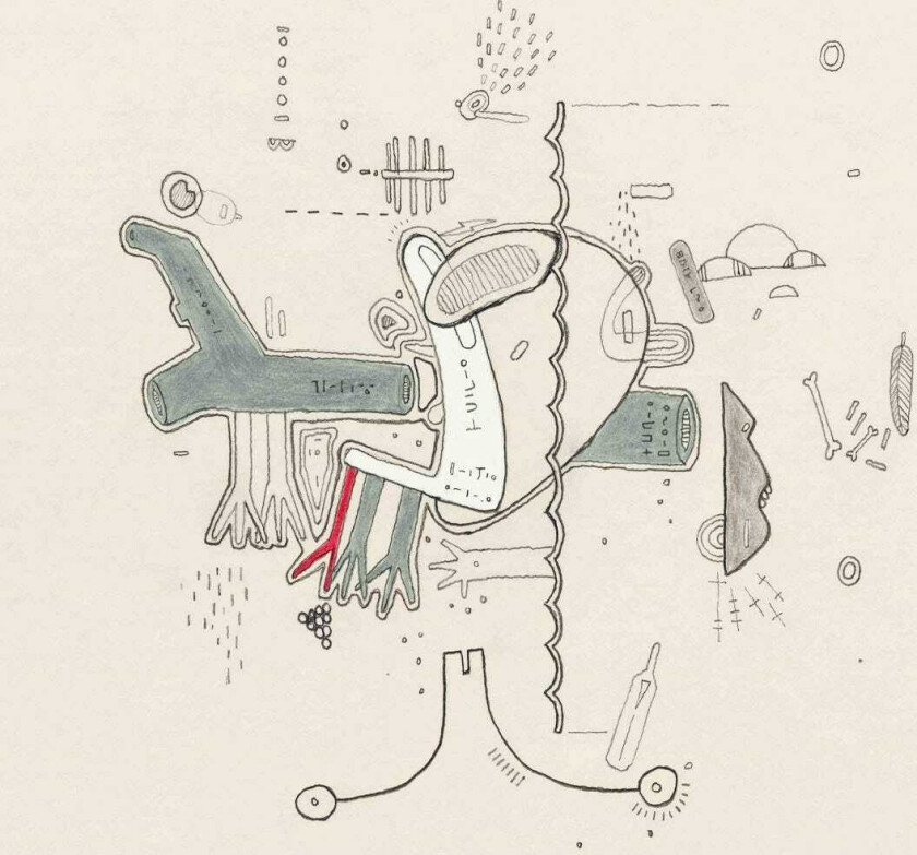 Diverse Artister, Frightened Rabbit Tiny Changes: A Celebration Of Frightened Rabbit's The Midnight Organ Fight LP/Vinyl